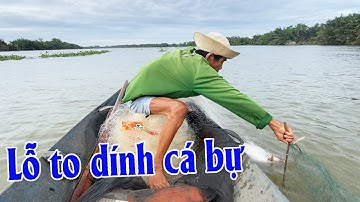 Xách Lưới Lỗ To Đi Giăng, Dính Con Cá Xứng Đáng | Góc Miền Tây #552
