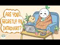 Understanding Introverts
