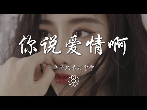 摩登兄弟劉宇寧 - 你說愛情啊『你說愛情就像啊 滿載故事盛開的花』【動態歌詞Lyrics】