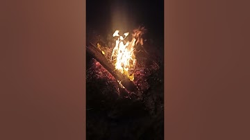 سورة هود (السديس و الشريم)