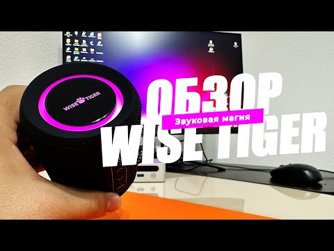 Звуковая магия: Распаковка и Тестирование Портативной Колонки Wise Tiger P1S с 15 Вт мощности