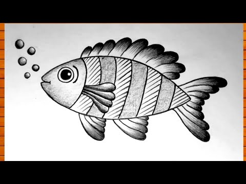 PencilDrawingSeriesbyRachelleDyer  Pencil drawings of animals Fish  sketch Fish drawings