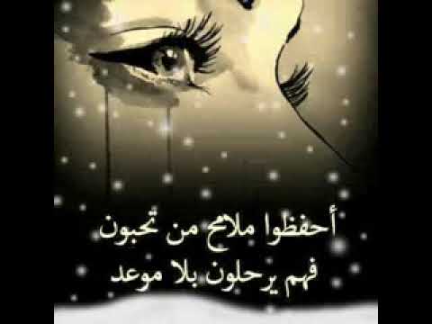 بحر الأشواق 