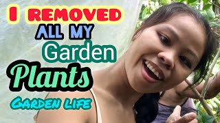I Removed All My Garden Plants Garden Life