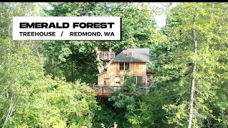 Hidden Gems in Kitsap and Beyond: Emerald Forest Treehouse