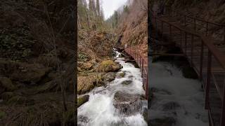 Живописная тропа к водопаду Эстюба. Алтай #путешествия #altay #nature