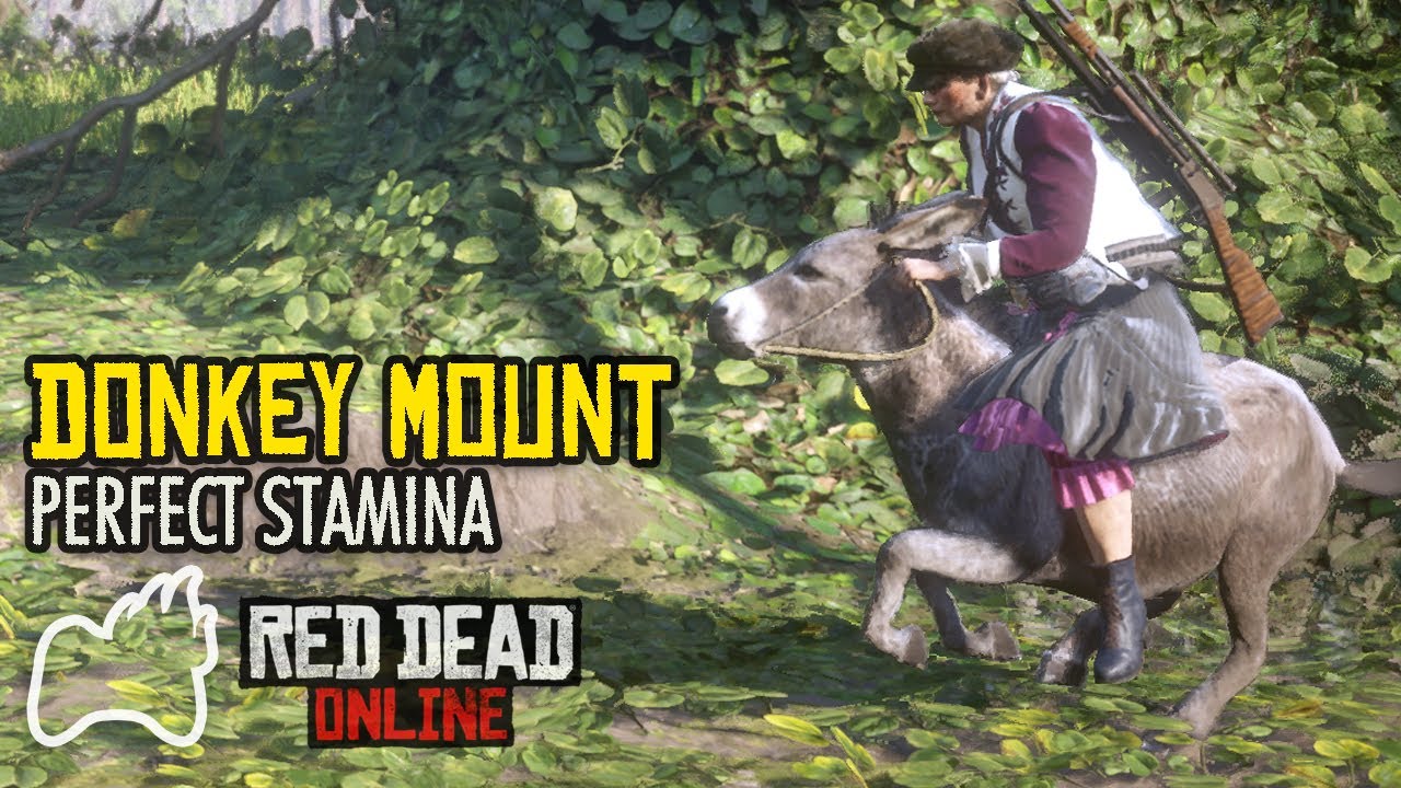 Where to Find a DONKEY? Riding in Full Gallop Unlimited Stamina Red