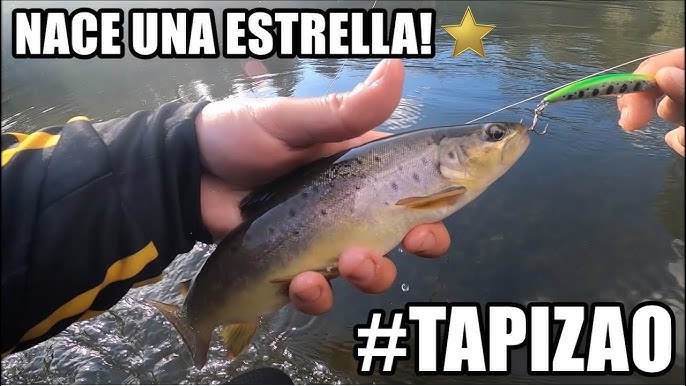 5 señuelos infalibles para pescar Truchas / Hart Fishing 