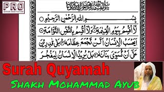 Surah Qiyamah By Mohammad Ayub || Surah Qiyamah With Arabic Text (HD) || PRO Quran Recitation