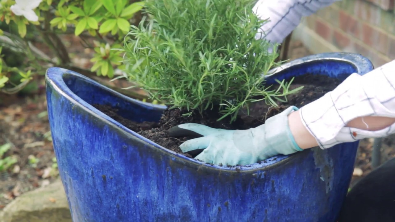 Organic Soil Complete from The Arbor Gate YouTube
