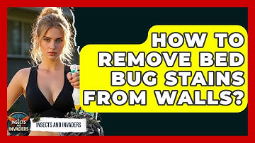 How To Remove Bed Bug Stains From Walls? - Insects and Invaders