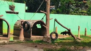 Visit ke kebun binatang ragunan, wisata jakarta 2026 
