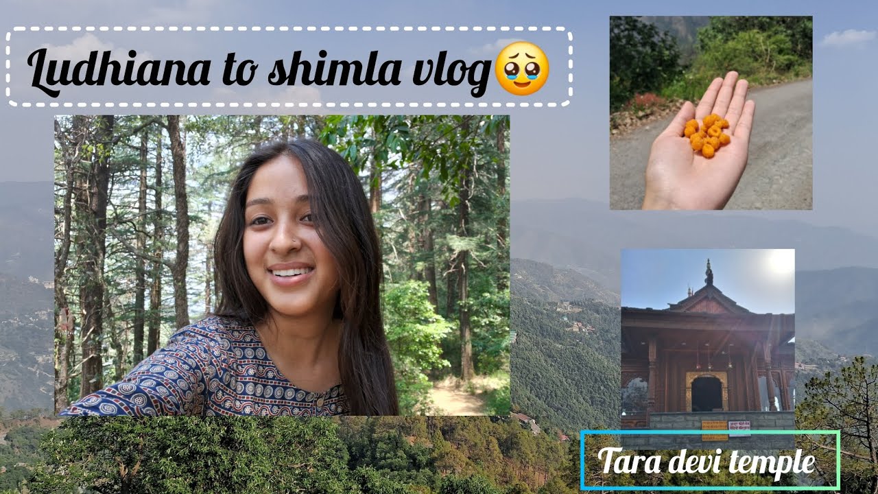 Ludhiana to shimla in 1 day 😍 Adventurous trek #youtube #vlog #channel #yt 