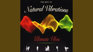 Video thumbnail of "Natural Vibrations - Put A Little Love"