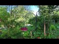 4k 360 Slo-Mo Hummingbirds 10min!