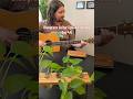 Bluegrass Guitar Speed Training Day 44