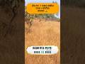 Clear Title Plots - Pune, Mumbai & Konkan | 8805988805 #shorts #viralshorts