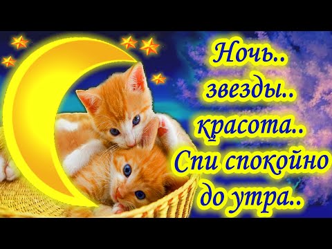 Спокойной ночи! Пусть тебе приснятся сказочные сны!