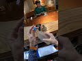 バーテンダーがみてる世界。ASMR...?
