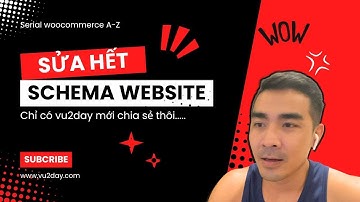 VU2DAY - Cài Schema cho website woocommerce POD