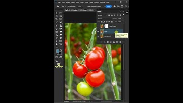 The Quickest Way To Color Isolate Red in a Photo - Photoshop Tutorial