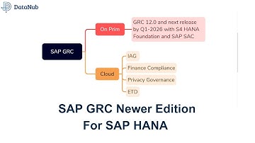 SAP GRC edition for SAP HANA - What can we expect from this version?
