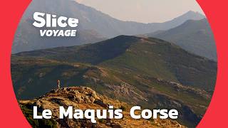 Corse : La force du Maquis I SLICE VOYAGE