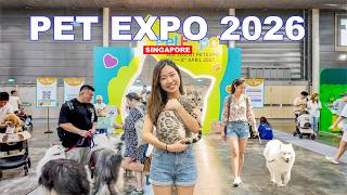 🐈 Singapore Pet Expo 2026 | Singapore Largest Pet Event Tour🇸🇬❤️👍