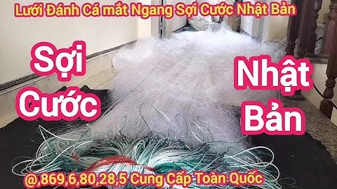 Lưới Đánh Cá Bắt Cá Sợi Cước Nhật Bản 12 Phân Cao 5 mét Dài 100 mét 200 mét 300 mét Làm theo yêu cầu