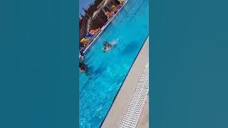 VID-20190718-WA0003.mp4