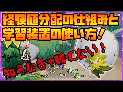 ソードシールド がくしゅうそうちの入手方法と効果まとめ ポケモン剣盾 攻略大百科