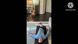 Funniest😂 Cats and Dogs Video Compilation