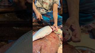 Fast Kali Baush Fish Cutting Skills In Bangladesh Fish Market 