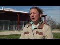 Animal Shelter