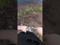 Feisty little fella #bassfishing #bass #fishing #fun #fish #heatwaves #basslife #bassnation #fyp