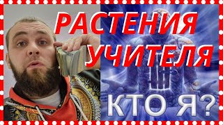 Зачем нужно использовать растения учителя| Растения учителя| Полная версия