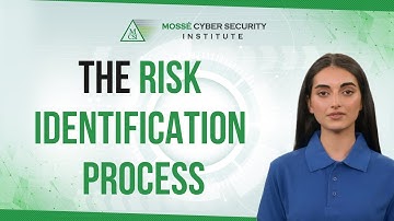 The Risk Identification Process