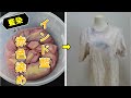 【藍染】インド藍の葉でＴシャツを染める/【Indigo Dyeing】Dyeing a T-shirt with Indian Indigo Leaves