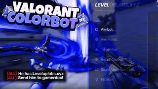 Valorant Colorbot: How To Get? / Setup & Showcase (LEVELUPLABS.XYZ) screenshot 2