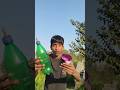 Desi Holi Slater found on a tree #shorts #viral #entertainment