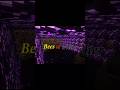 1000 Bees Attack the Wither 😳🔥