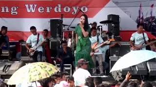 Story WA Cinta Hitam (Meggy Z.) cover Annisa Rahma NEW PALLAPA