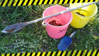 Soil Sampling: Your Step-by-Step Guide