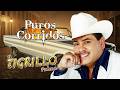El Tigrillo Palma De Oro 💥 20 Exitos Puros Corridos Mix Para Pistear 2026
