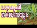 vaazha krishi sahaayi വാഴ നന്നായി വളരുവാൻ ഒരു സഹായി