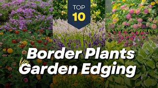 10 Beautiful Border Plants for Garden Edging 🌿🏡🌼Add Color to Your Landscape!
