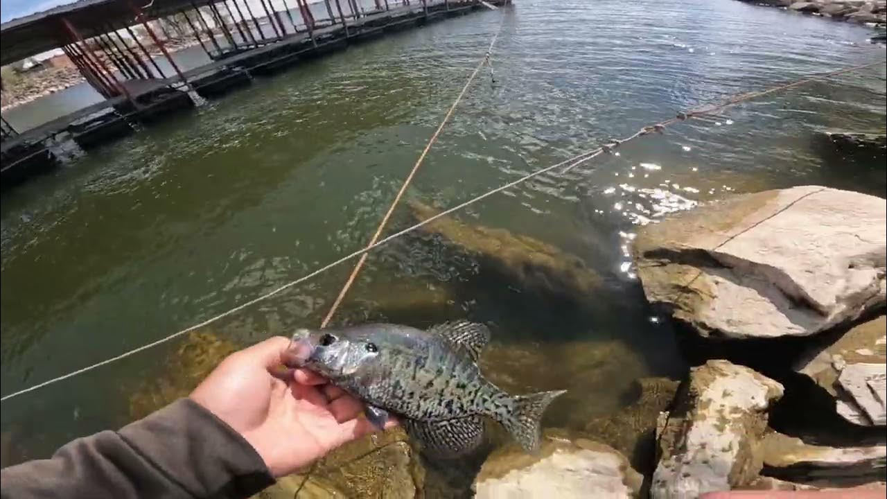 FIRST CAST , CRAPPIE FISHING, CRAPPIE SPAWN YouTube