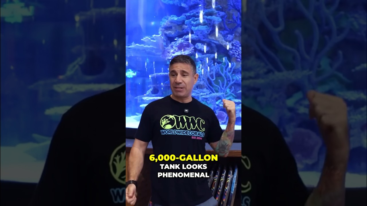6,000 Gallon Tank Challenge - Leaks FIXED!