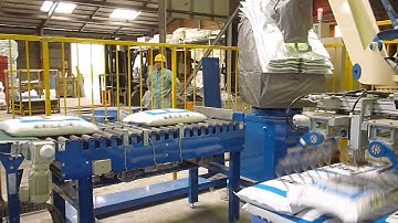 Bag Palletizing 2 pick 2 release with dust jacket | Fuji Robotics | #roboticpalletizer #fujirobotics
