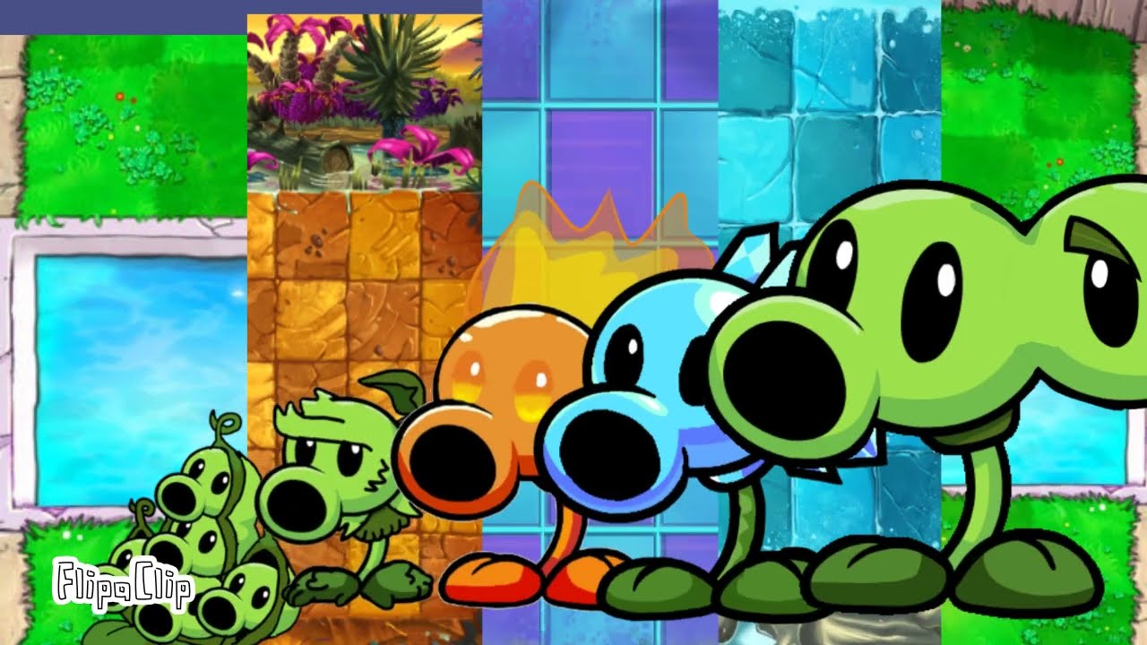 the pea family intro